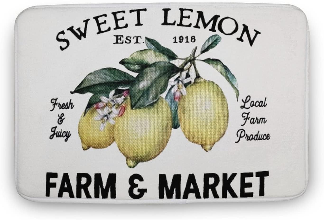 Doormat 16x24 Inch Lemon Gift Farmhouse Decor Summer Rustic Decor Door