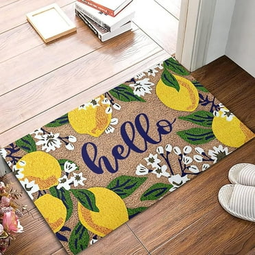 Doormat 16x24 Inch Lemon Hello Entry Door Mat Summer Vibe Doormats Indoor Outdoor Floor Mats Rug Front Door Welcome Doormat Entryway Decor Gift For Women Men