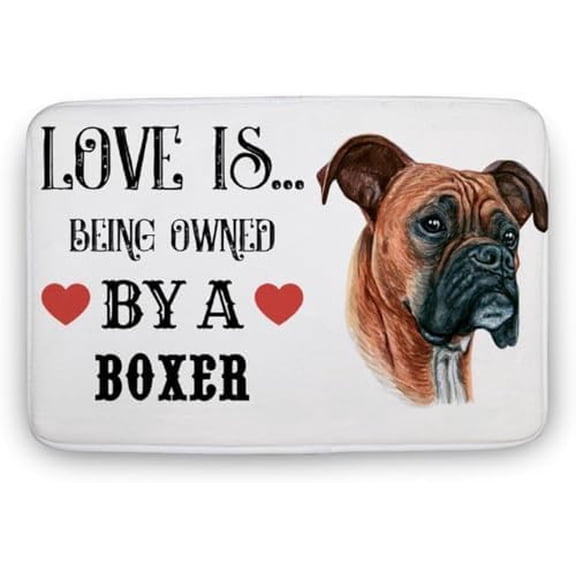 Doormat Door Mat Door Rugs Indoor Throw Washable Love is Being Owned by A Dog Tapete De Bao Coral Velvet Fuzzy Rug 17x30 Inch.