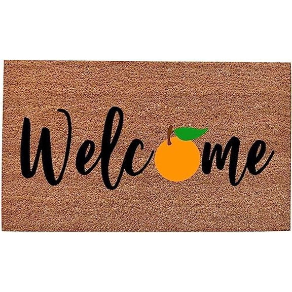 Doormat Door Mat Entrance Doormats Front Welcome Welcome Front Indoor Decor Bathroom Entrance Rug Floor for Indoor Out Doormat 16x24 Inch.