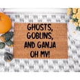thumbnail image 1 of Doormat Ghosts, Goblins, And Ganja OH MY! Halloween Welcome Mat Hall (24" x 36") #5489, 1 of 4