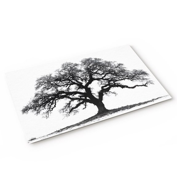 Doormat Oak Tree Forest Doormats Entrance Door Rug Black Deep Roots Wide Branches Floor Mat Welcome Front Door Mat for Indoor Outdoor Kitchen Home Decor 16x24 Inch
