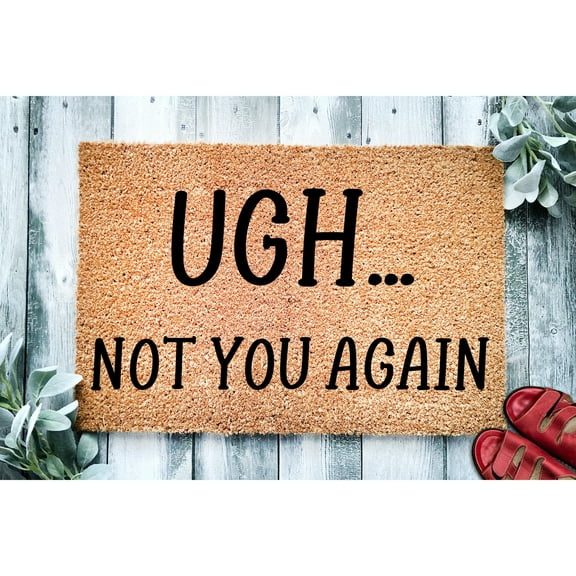 Doormat Ugh... Not You Again | Funny Doormat | Welcome Mat | Funny Doo (18" x 30") #3016