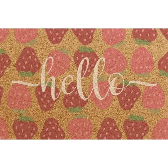 Doormat Welcome Hello Welcome Strawberry Print Funny Entryway Rugs Indoor Non Slip, Washable Entrance Mat Door Mats for Kitchen, Bathroom Home Decor 16 * 24in