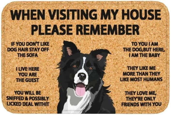 Doormat for Indoor mat Outdoor Remember Border Collie Dogs House Rules Kitchen Bath Garage Living Room Home Decor Housewarming Gifts 17 30in.