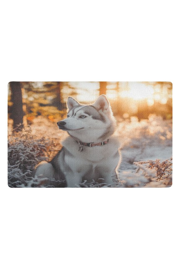 DoormatsOutdoor Husky Dog32"20"Full Print On One Side, Fixed Orange On The Reverse Side,Doormat Made Of Polyester.