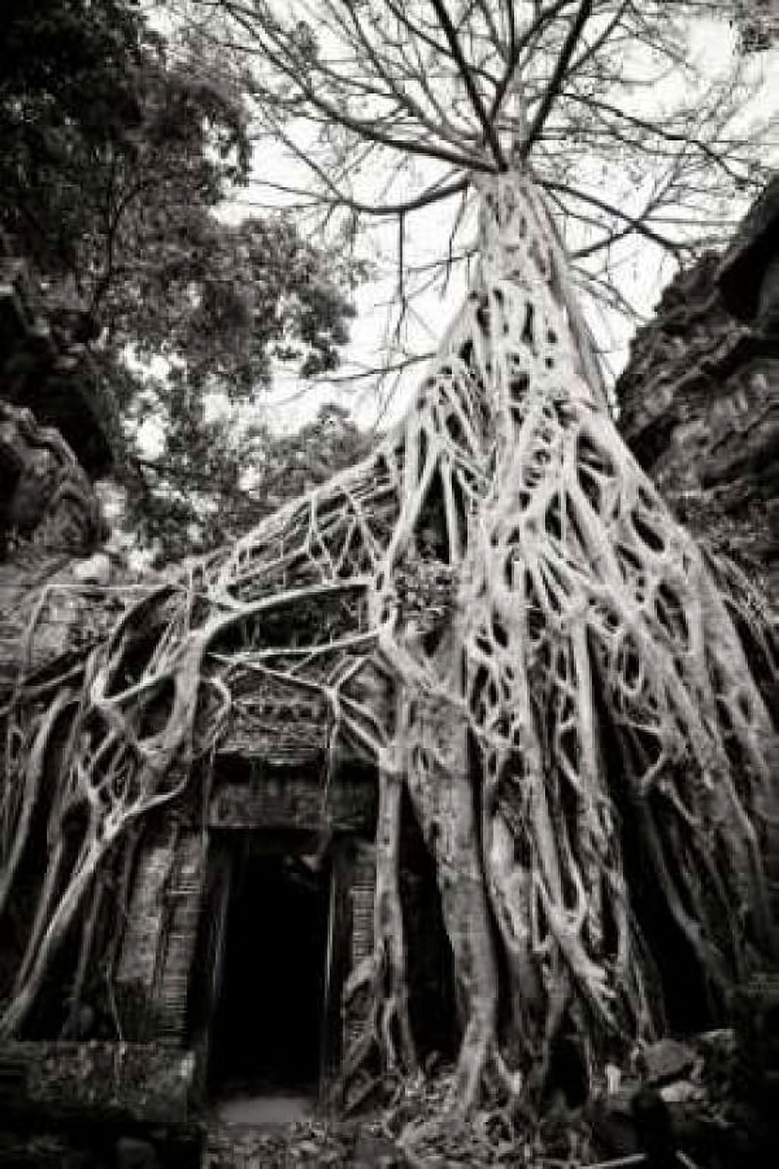 Doorway and Roots I Canvas Art - Erin Berzel (12 x 18)