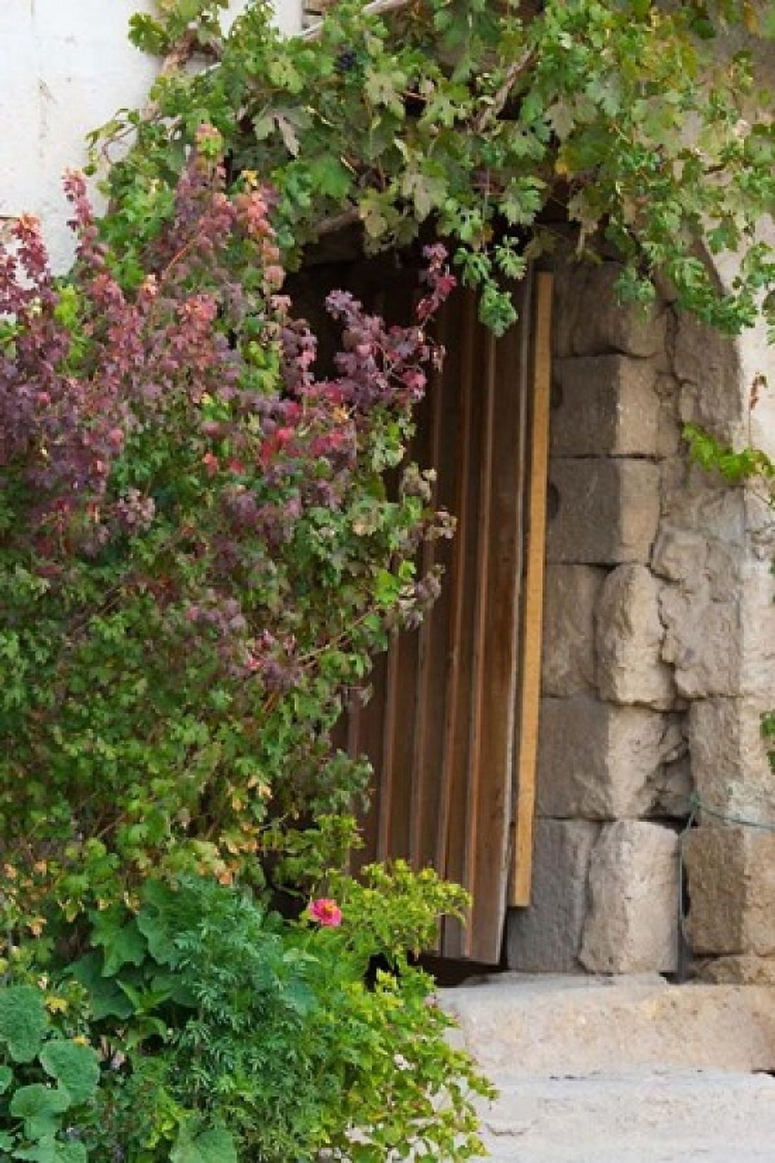 Doorway in Small Village in Cappadoccia Turkey Canvas Art - Darrell Gulin DanitaDelimont (24 x 36)