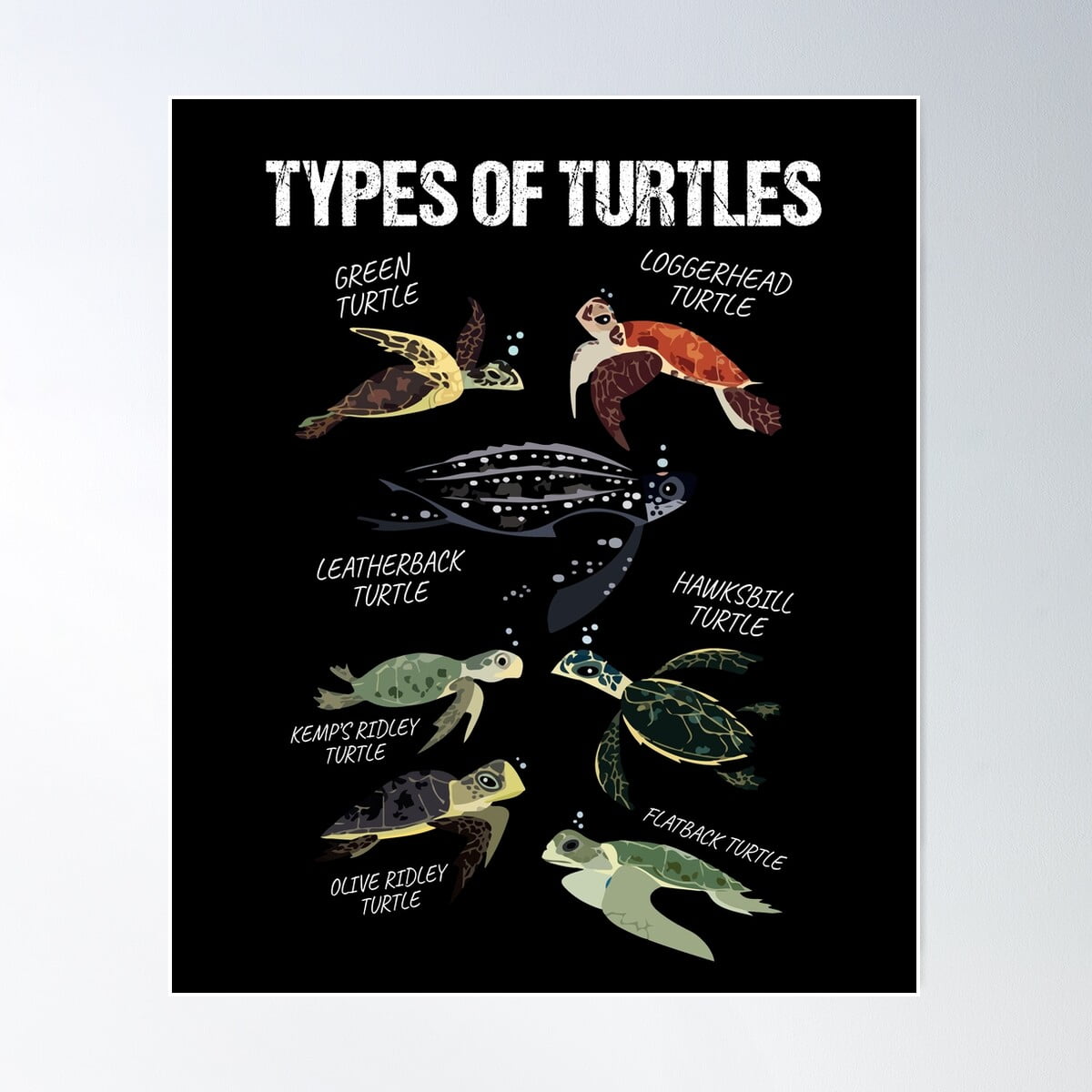 Dopaprint UNFRAMED PAPER POSTER Turtle Lover Reptile Pet Turtle Types ...