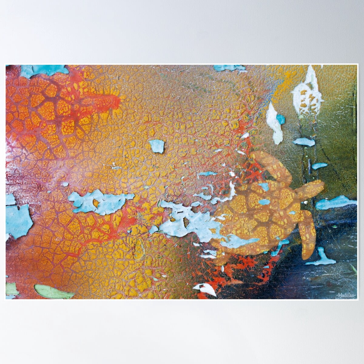 Dopaprint UNFRAMED PAPER POSTER Turtle Reef - Art From Urban Decay ...