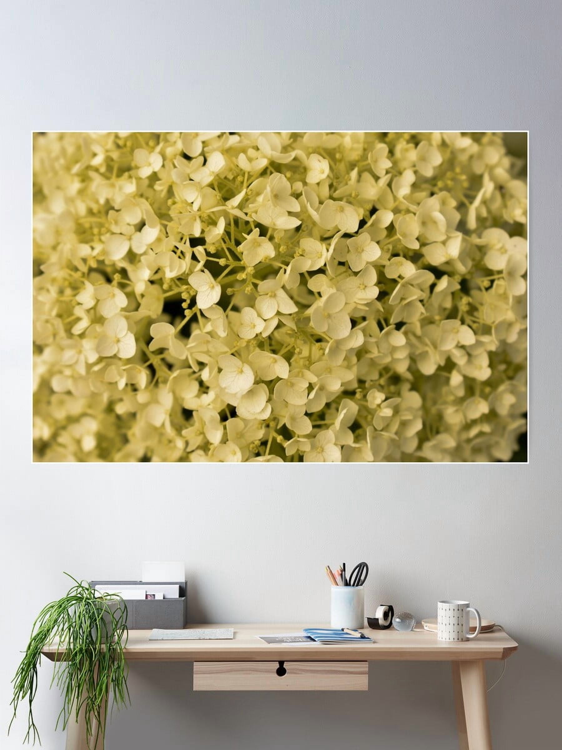 Dopaprint UNFRAMED PAPER POSTER White Moody Flowers Poster Wall Art Dopaprint UNFRAMED PAPER POSTER White Moody Flowers Poster Wall Art