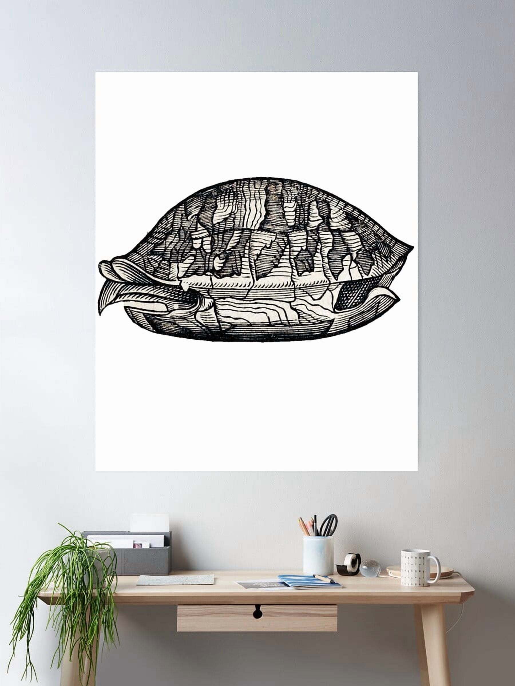 Dopaprint UNFRAMED PAPER POSTER Woodcuts Bestiary - Tortoise Shell ...