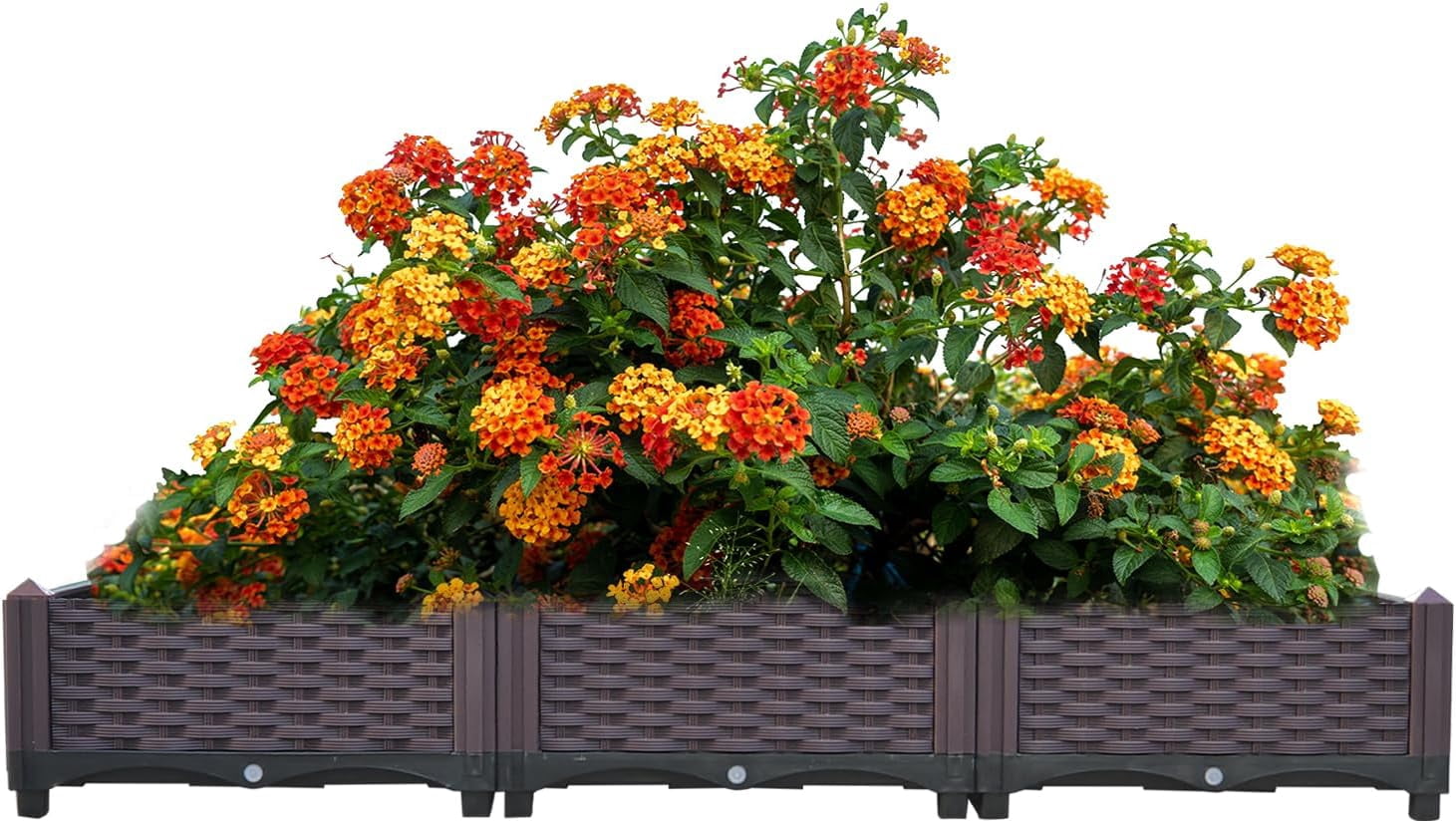 Doppy Planter Boxes Raised Garden Bed,Plastic Planter Care Box Kit Set ...