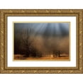 thumbnail image 1 of Dorin Lucian, Sveduneac 14x11 Gold Ornate Wood Framed with Double Matting Museum Art Print Titled - Heavens Door, 1 of 4