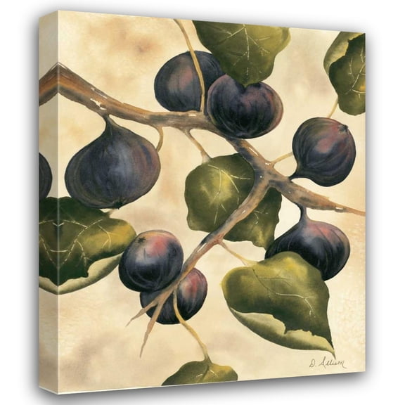 Doris Allison 20x24 Gallery Wrapped Canvas Wall Art Titled - Italian Harvest - Figs