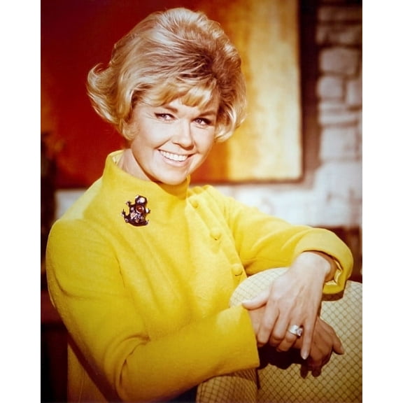 Doris Day Do Not Disturb 24X36 Classic Hollywood Poster