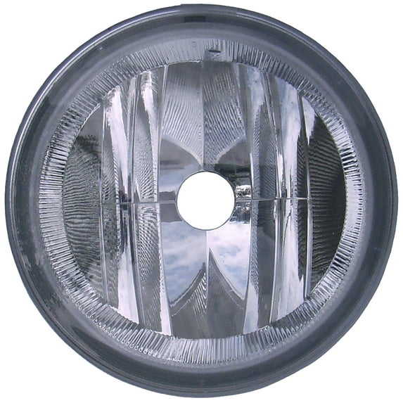 Dorman 1631275 Driver Side Fog Light Assembly for Specific Ford / Lincoln Models, Clear
