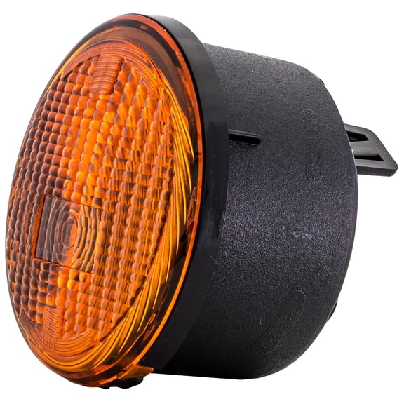 Dorman 1631375 Driver Side Parking Light Assembly for Specific Jeep Models