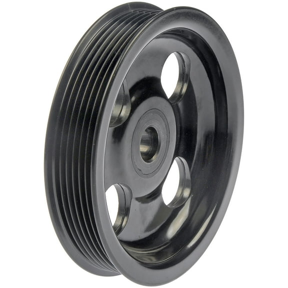 Dorman 300-313 Power Steering Pump Pulley for Specific Chrysler / Dodge Models