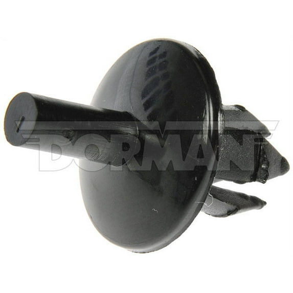 Dorman 45263 Push In Nylon Rivet - .250 In. For 80 Granada Monarch Versailles