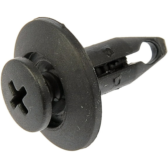 Dorman 700-852 Rivet-Screw In-Hole Diameter .250 In-Head Diameter .700 In-Length .69 In (Pack of 15)