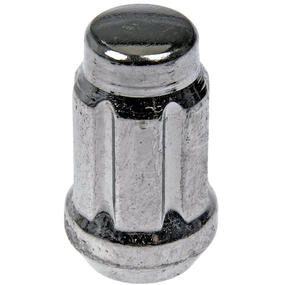 Dorman 711-255 Wheel Lock Set for Specific Models, Chrome (Pack of 20)