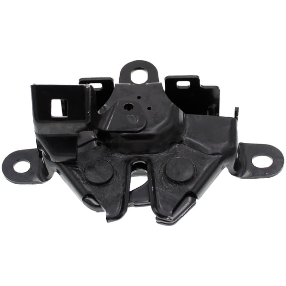 Dorman 820-122 Hood Latch Assembly for Specific Lexus / Toyota Models