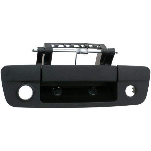 Dorman 83202 Tailgate Handle for Specific Dodge / Ram Models, Black