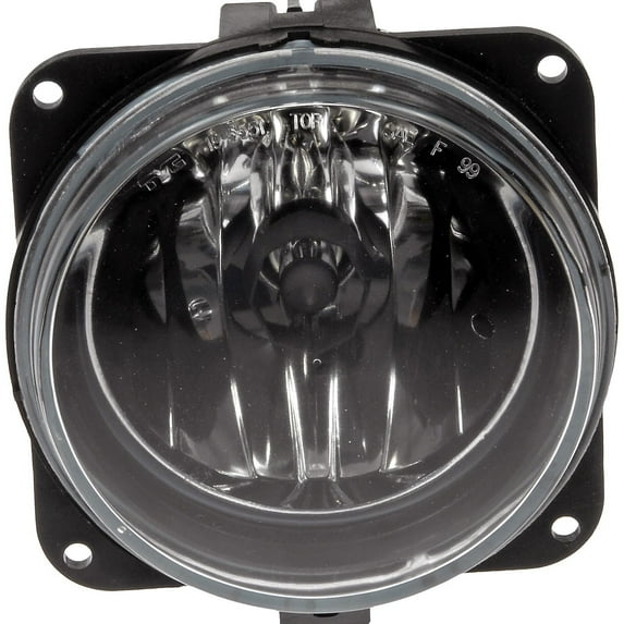 Dorman 923-849 Fog Light Assembly for Specific Ford / Lincoln Models