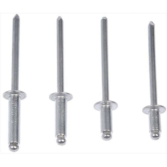 Dorman 961025 Rivet Aluminum Assortment 0.16 In.