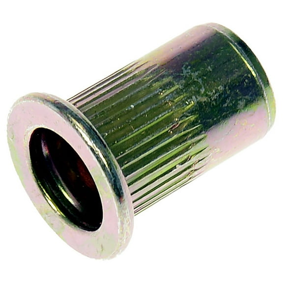 Dorman 963-254BX Rivet Nut - M6-1.0 (Pack of 20)