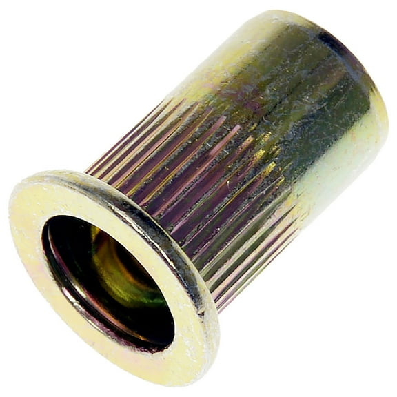 Dorman 963-255BX Rivet Nut - M8-1.25 (Pack of 20)