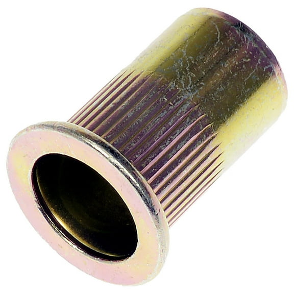 Dorman 963-256BX Rivet Nut - M10-1.50 (Pack of 20)