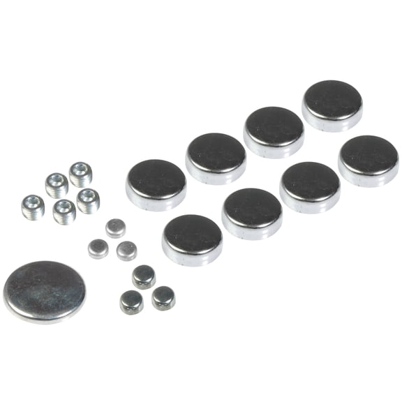 Dorman - Autograde 557-009 Engine Expansion Plug Kit Fits select: 1975-1996 FORD F150, 1966-1973 FORD MUSTANG