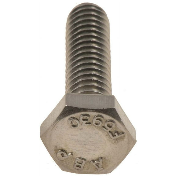DORMAN AUTOGRADE 784-250 SS CAP SCREW