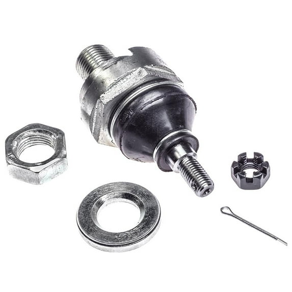 Dorman B90492PR Front Upper Alignment Caster / Camber Ball Joint for Specific Acura / Honda Models Fits select: 1998-2012 HONDA ACCORD, 1980-2000 HONDA CIVIC