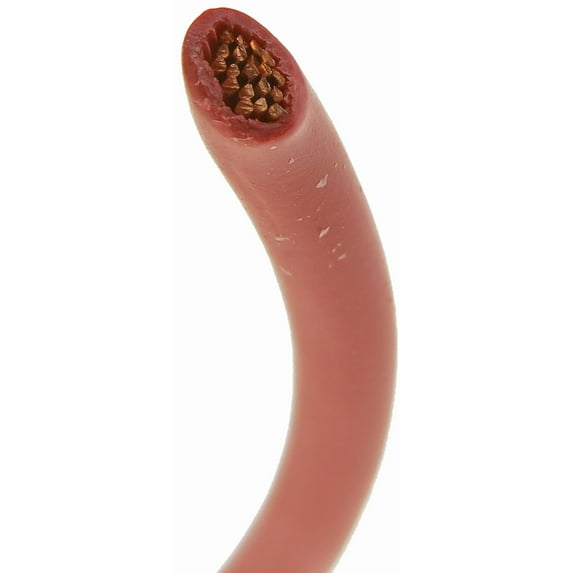 Dorman - Conduct-Tite 85748 Primary Wire