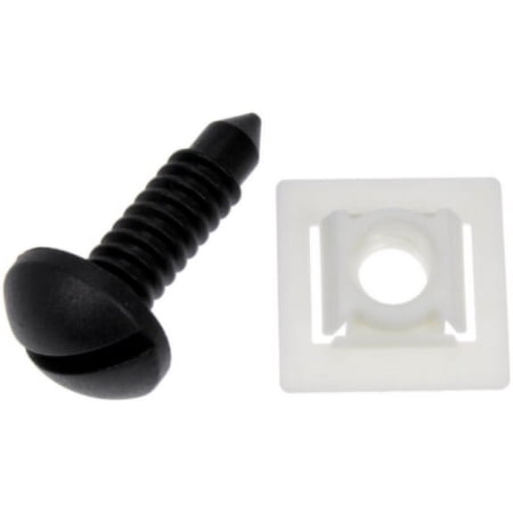 Dorman GM Nylon Nut And Screw - 3/8 In.