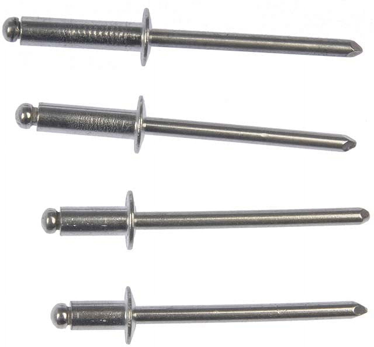 Dorman OE Solutions - Rivet Assortmnt