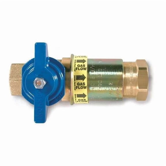 Dormont Shutoff Valve,Quick Disconnect,1 In CF-100