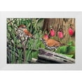 thumbnail image 1 of Dornish, Al 14x11 White Modern Wood Framed Museum Art Print Titled - Thrush, 1 of 4