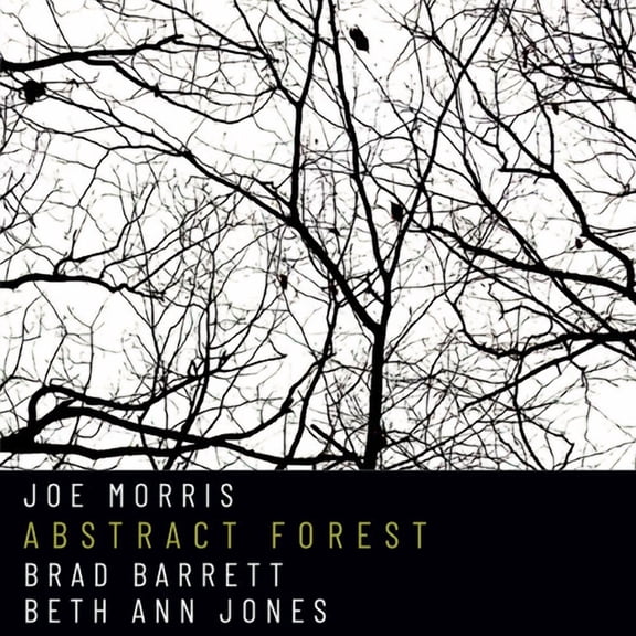 Joe Morris - Abstract Forest - Music & Performance - CD