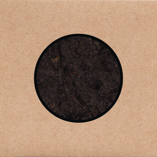 Swans - Birthing - Music & Performance - CD