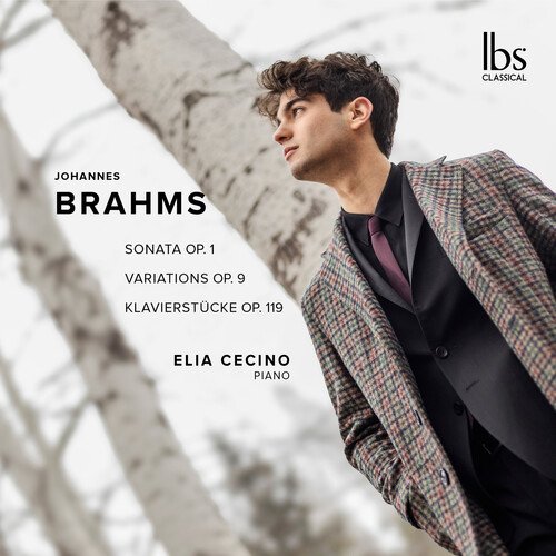 Cecino,Elia - Brahms: Piano Works - Music & Performance - CD