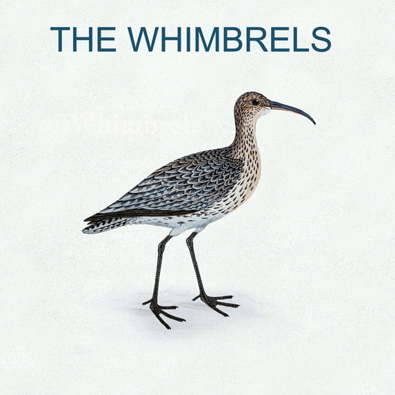 The Whimbrels - The Whimbrels - Music & Performance - Vinyl