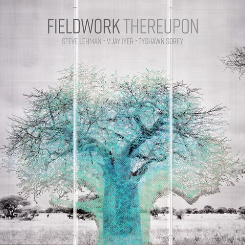 Fieldwork - Thereupon - Music & Performance - CD