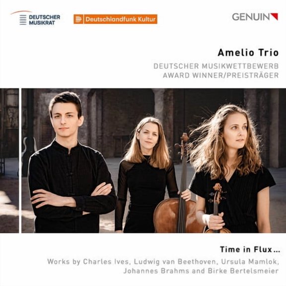 Amelio Trio - Time in Flux - Music & Performance - CD