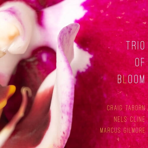 Trio of Bloom - Trio Of Bloom - Music & Performance - CD