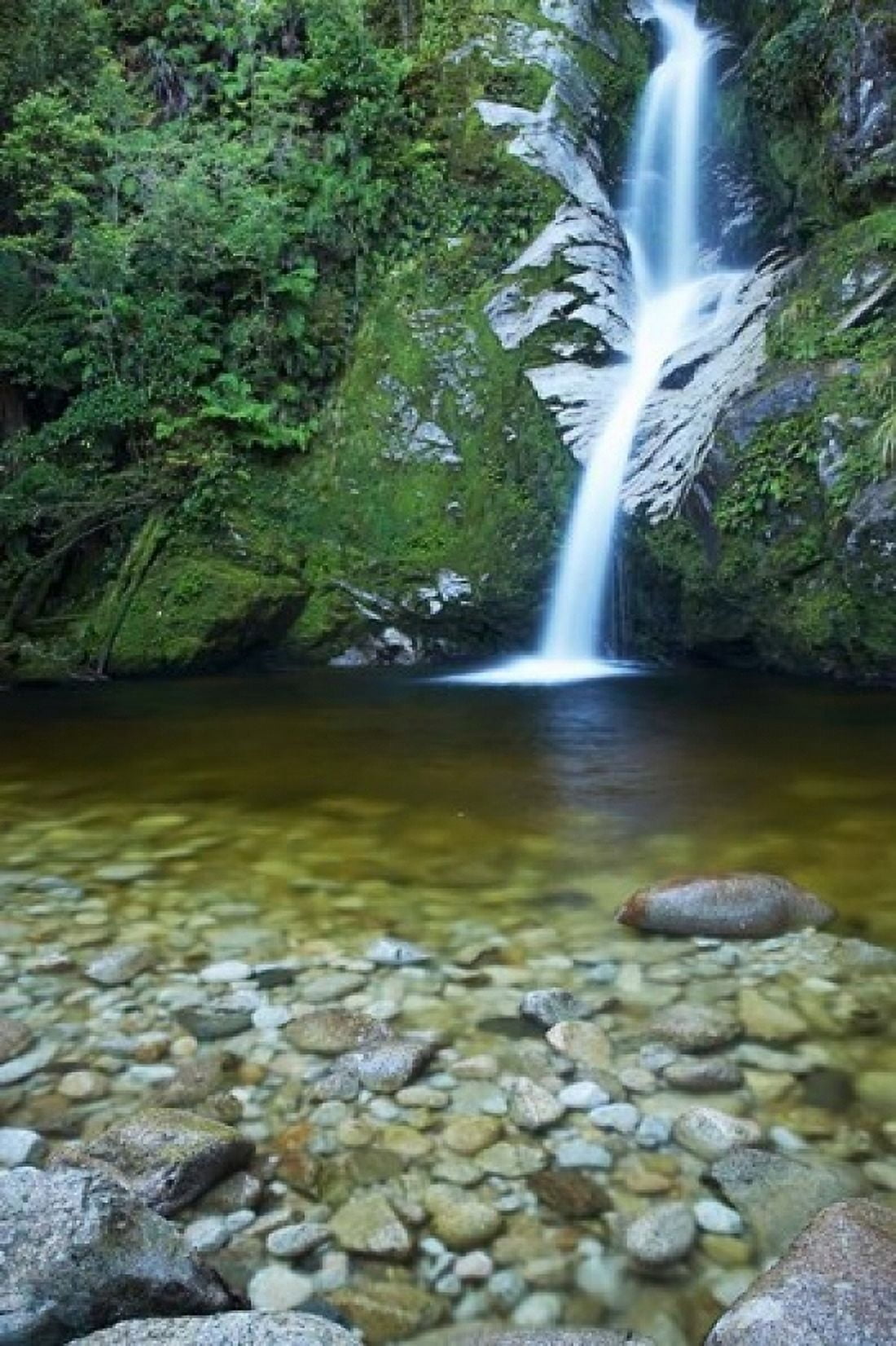 Dorothy Falls Lake Kaniere South Island New Zealand Canvas Art - David Wall DanitaDelimont (12 x 17)
