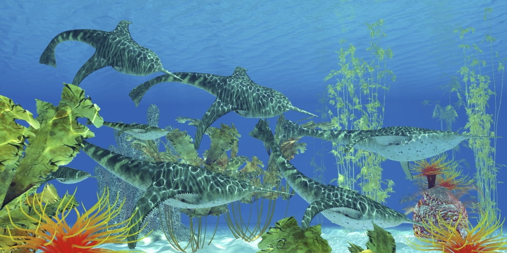 Doryaspis an extinct genus of primitive jawless fish from the Devonian Period Canvas Art - Corey FordStocktrek Images (20 x 10)